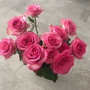 Meet your Posher, Katy ann